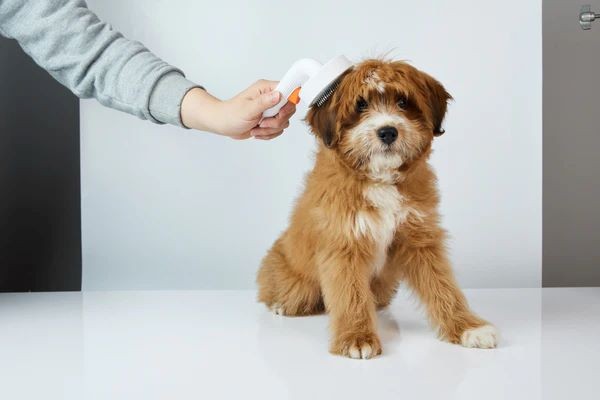Petkit Brush 2 Четка за разресване