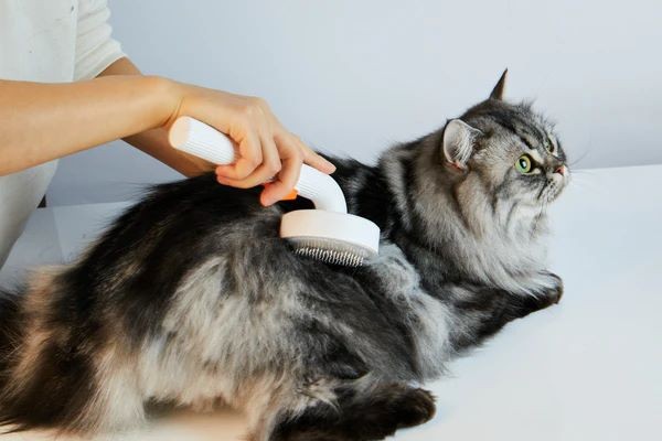 Petkit Brush 2 Четка за разресване