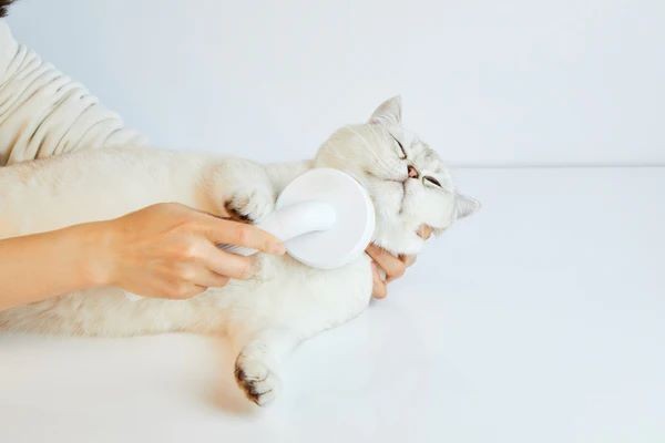 Petkit Brush 2 Четка за разресване