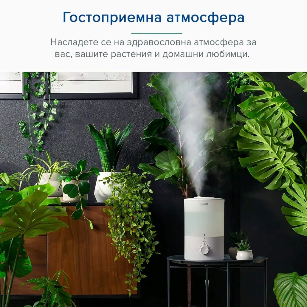 Ултразвуков овлажнител за въздух Levoit Dual 150, бял